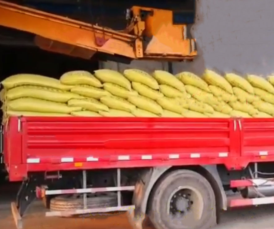 自動裝(zhuāng)車機 碼(ma)垛裝車(chē)機